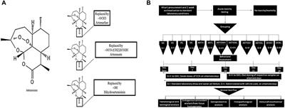 Pre-clinical studies comparing the anti-inflammatory potential of artemisinic compounds by targeting NFκB/TNF-α/NLRP3 and Nrf2/TRX pathways in Balb/C mice